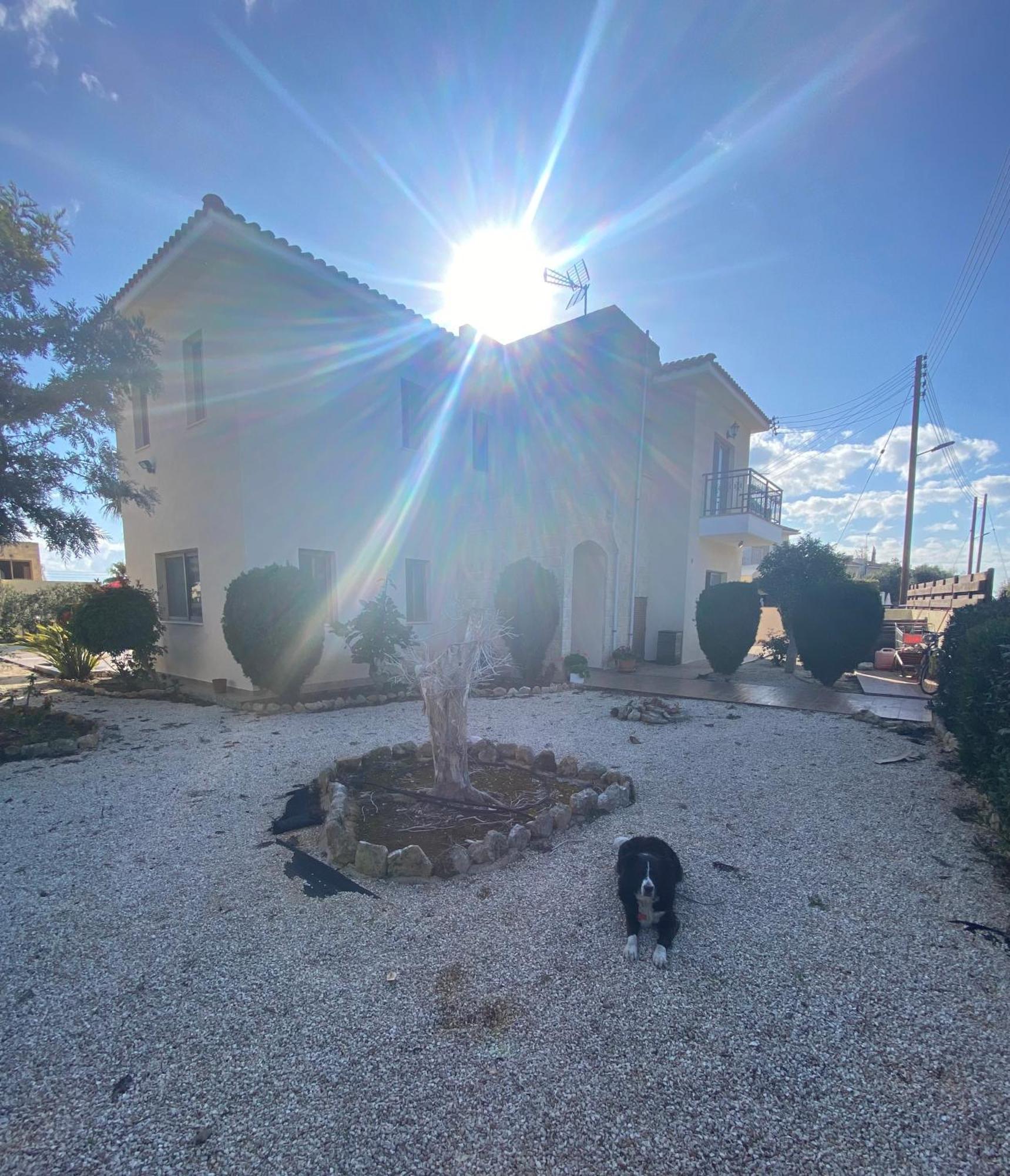 פיסורי Villa Ariadni מראה חיצוני תמונה